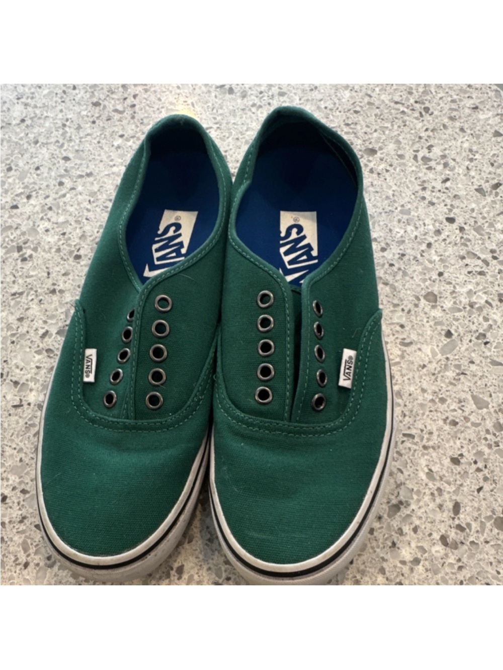 Vans Men’s Slip-On Canvas Sneakers in Forest Green
